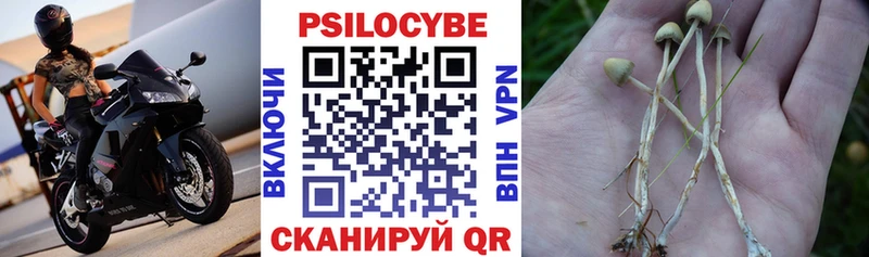 Псилоцибиновые грибы прущие грибы где купить наркоту Сортавала