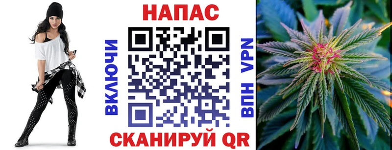 Каннабис сатива  где найти   Сортавала 